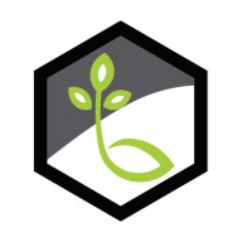Life Bridge Capital
